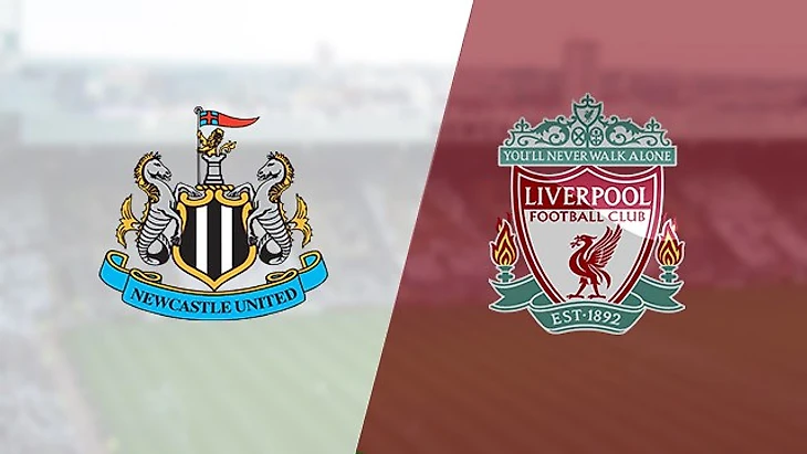 Ньюкасл-Ливер