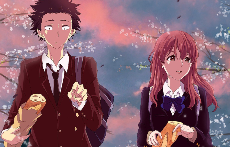 5 сантиметров в секунду, Аниме