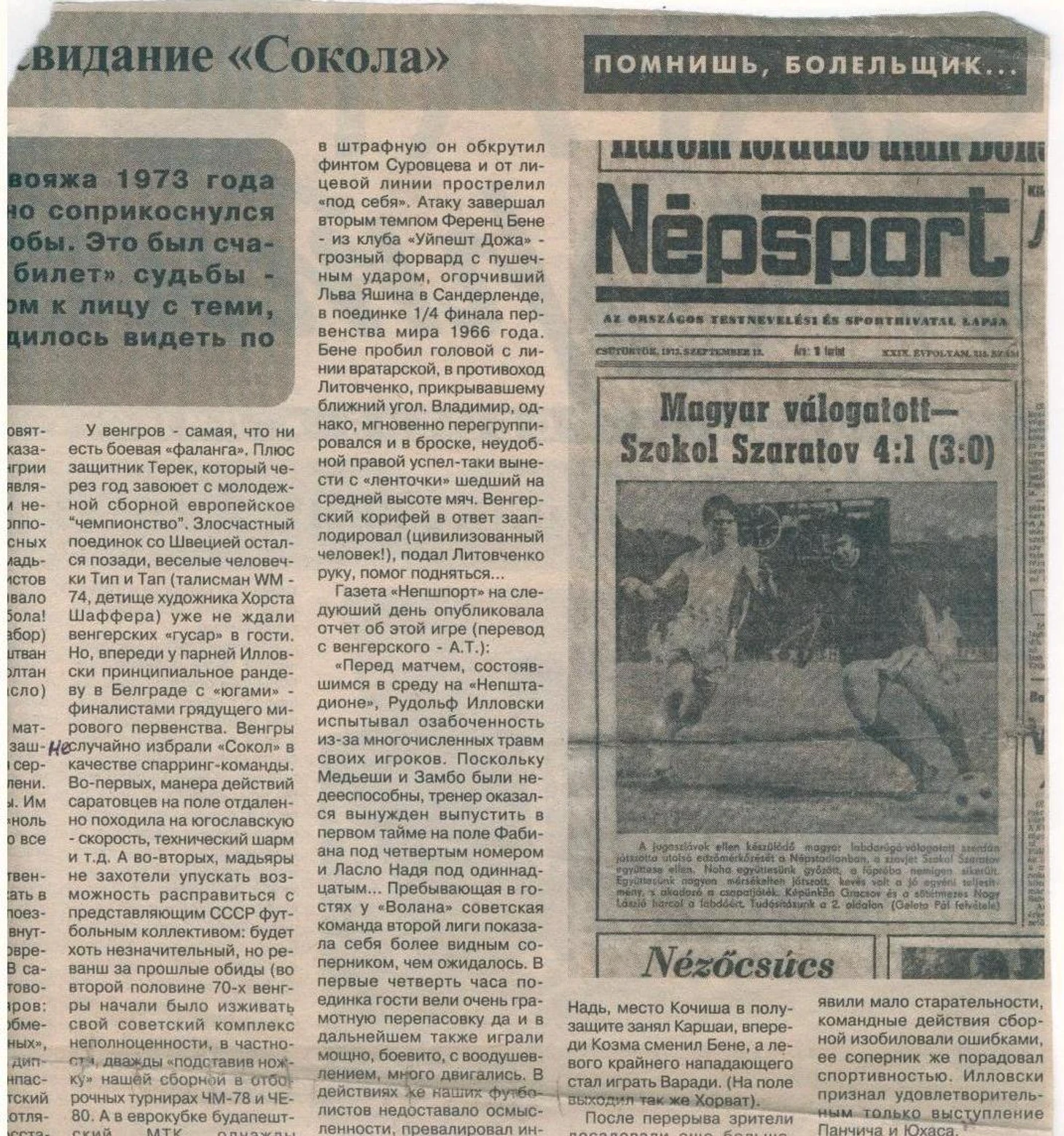 Непшпорт