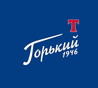 «Торпедо-Горький» - шаг вперед для нижегородского хоккея