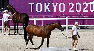 Олимпиада 2020 в Токио по конному спорту – кто фаворит прогнозы на победителей от букмекеров