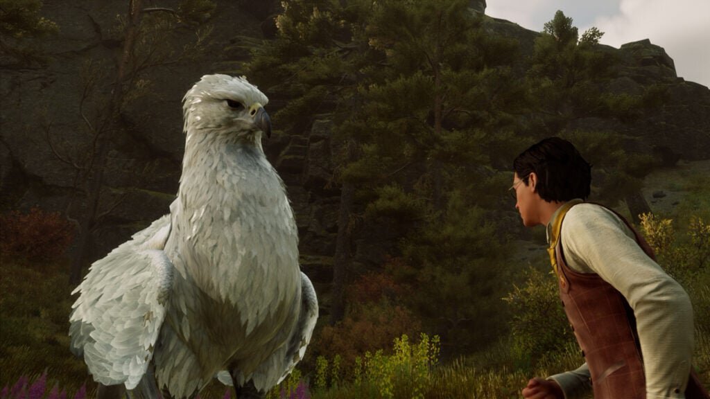 Hogwarts Legacy, Гайды