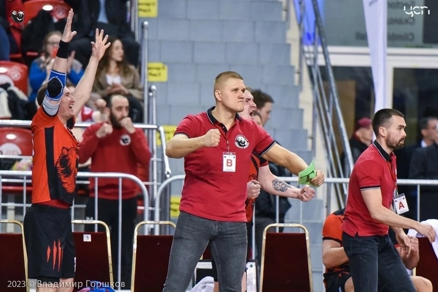 Olimpbet Суперлига. Битва за топ-4, анкета тренеров: "Пермские медведи" против "Динамо" (Астрахань), изображение №1
