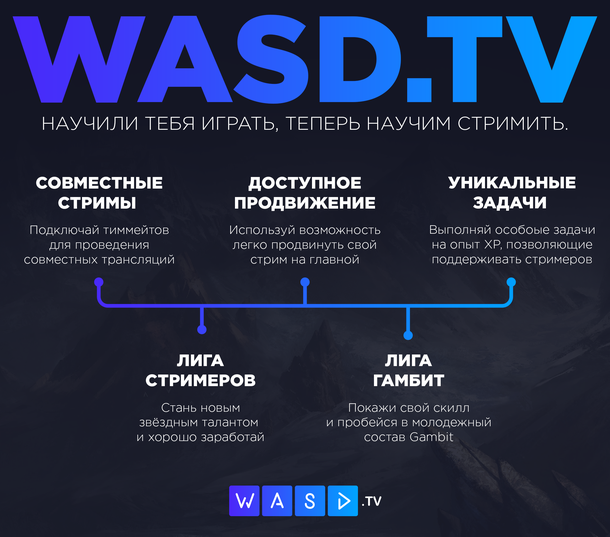 Новая стримингова платформа WASD.TV