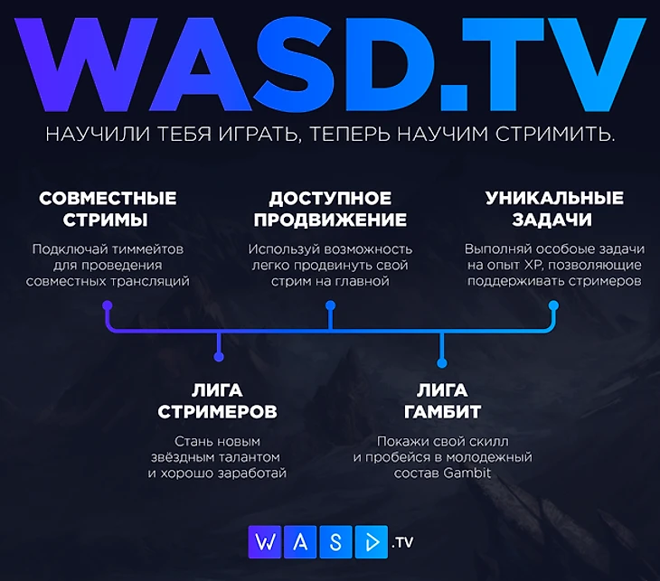 Новая стримингова платформа WASD.TV