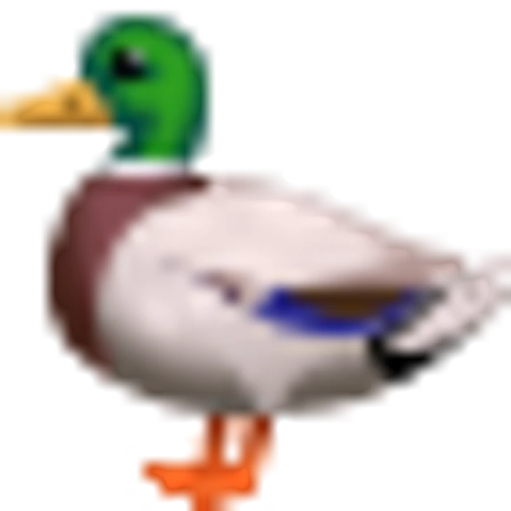 🦆