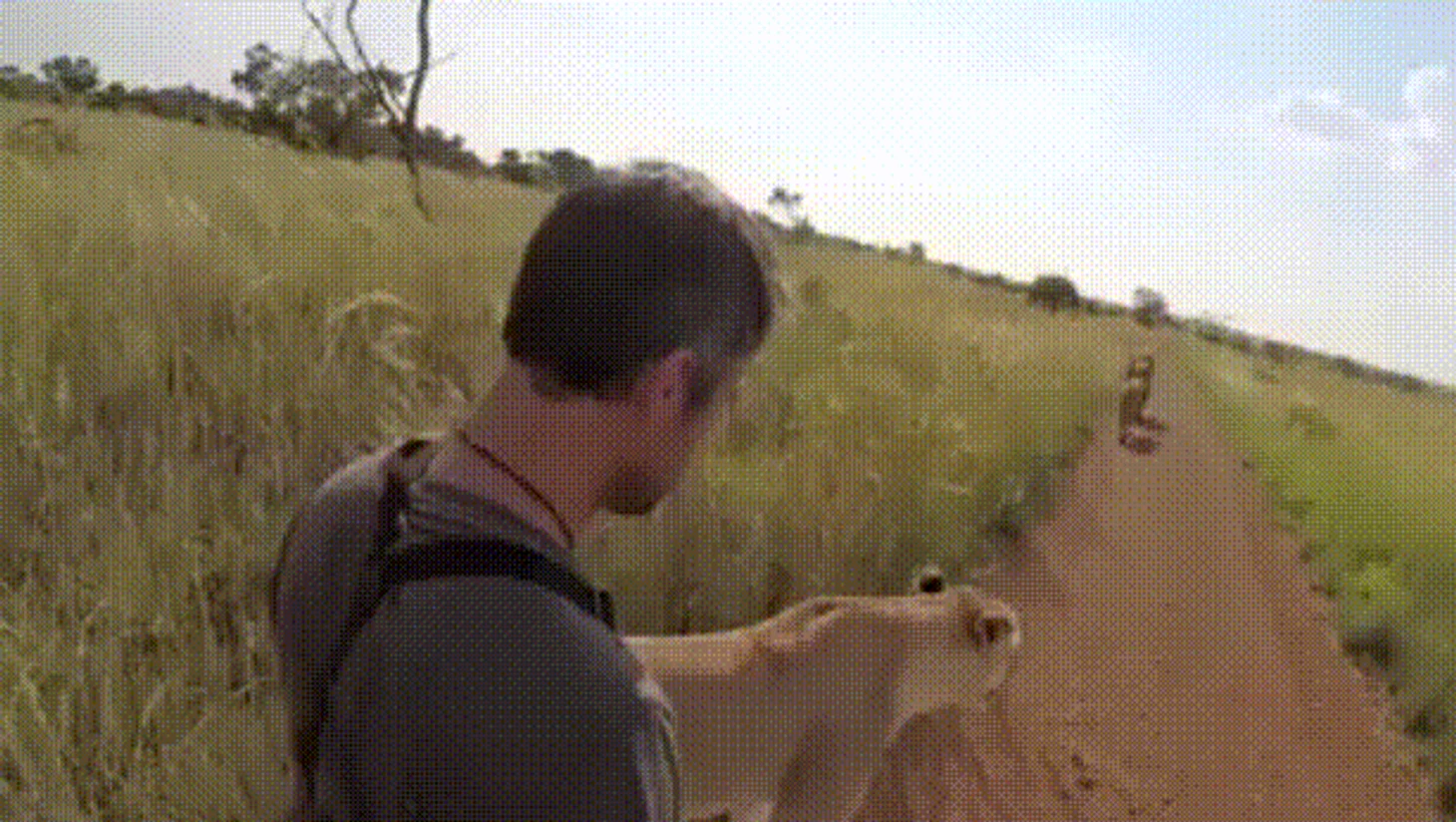 ф