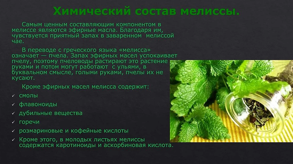 Лечебные свойства и противопоказания состав. Лечебные свойства и противопоказания состав. Доклад про облепиху. Зверобой лекарственное растение. Корень солодки полезные свойства.