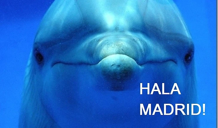 Барселона, Кубок Испании, Иглесиас Вильянуэва, Фуэнлабрада, Тоттенхэм