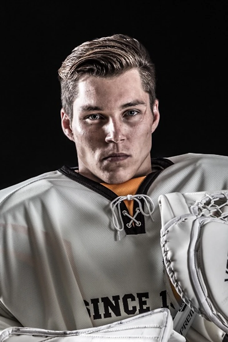 Мерзликинс