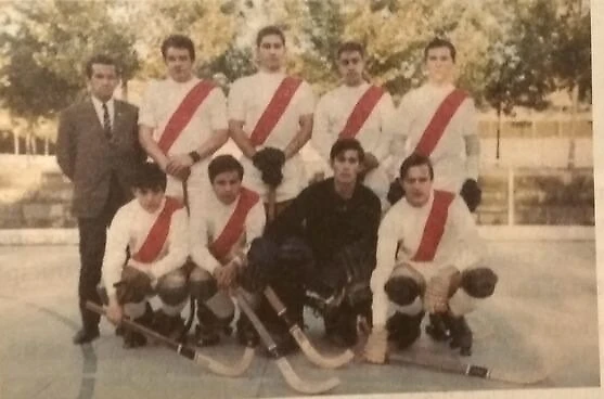 Хоккейная команда Райо Вальекано