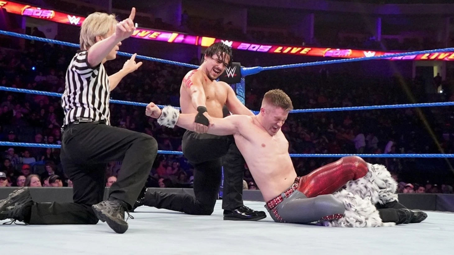 Обзор WWE 205 Live 31.01.2020, изображение №13