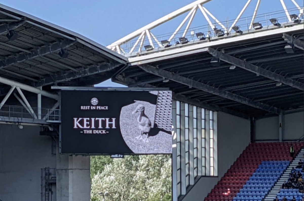 Фанаты «Уигана» почтили память селезня, хотя он не связан с клубом. Рассказываем