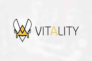 Владелец Vitality: &#171;Мы продолжим строить команду вокруг «ZywOo»&#187;