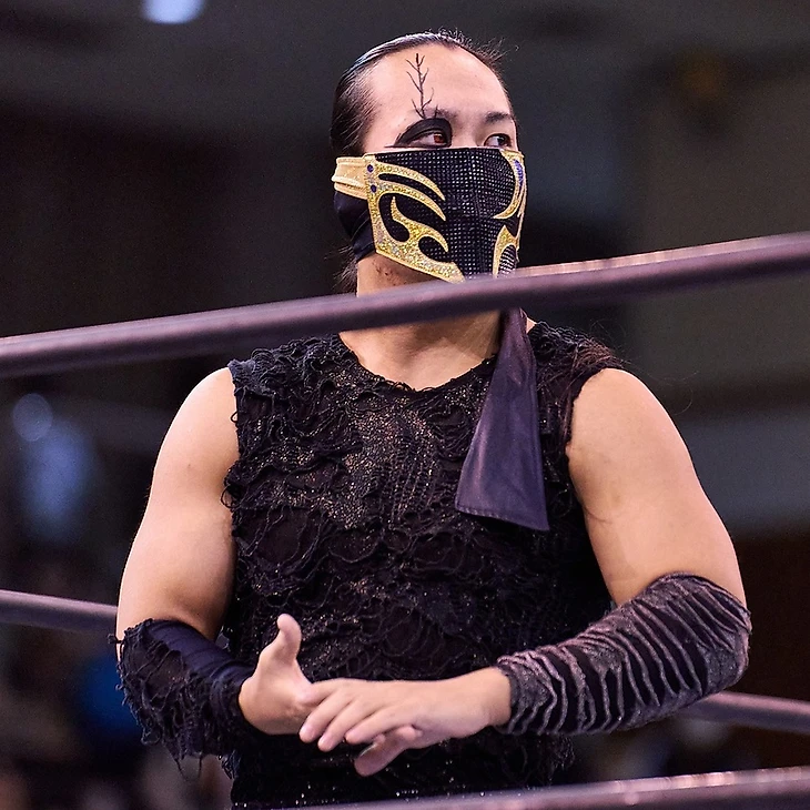 Обзор девятого дня NJPW Super Juniors Tag League 2022, изображение №9