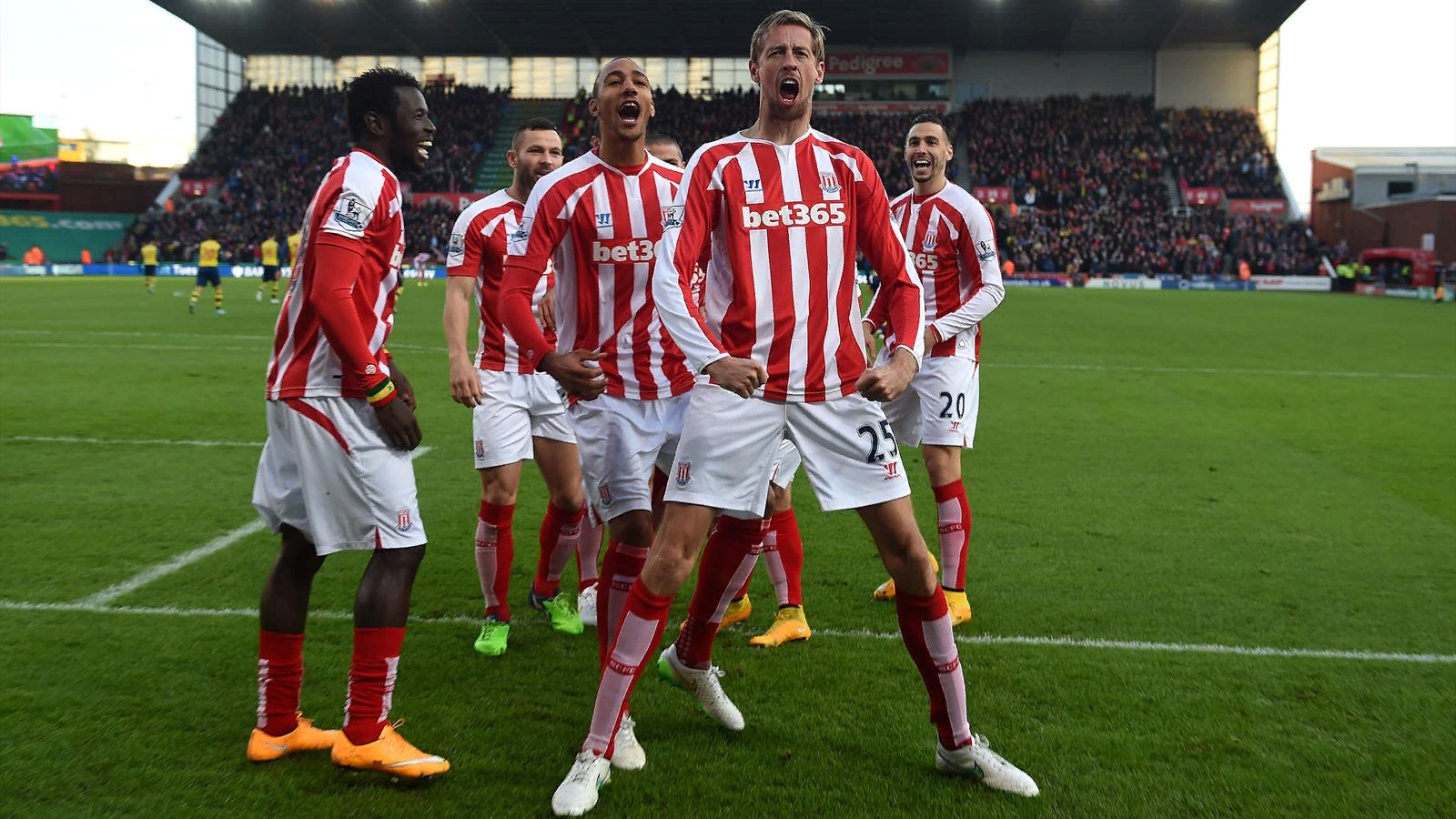 Сток сити кпр. Крауч Арсенал. Stoke City футбольная команда. Сток Сити команда. Сток Сити футбольный клуб игроки фото.