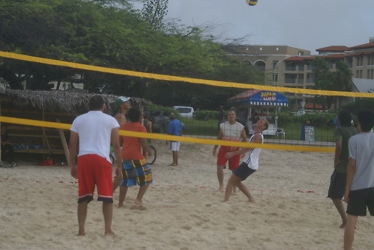 Играю в волейбол