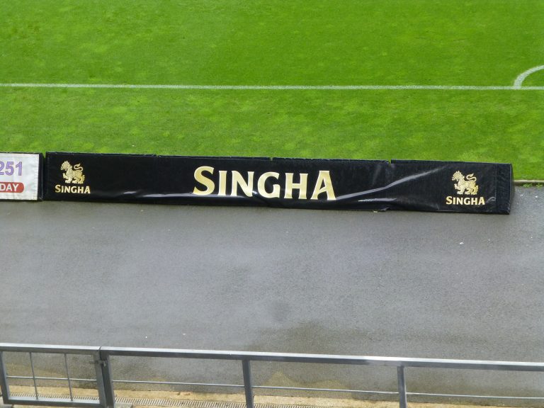 Fan's view no.12