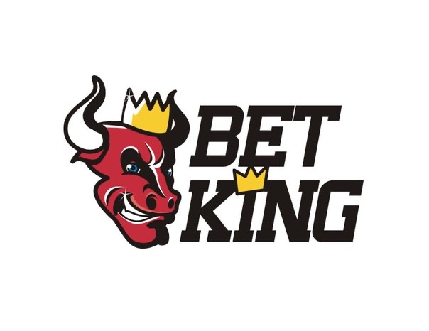 Максим Савин(BET-KING)- об индустрии беттинга в 2009 году и о своих проектах