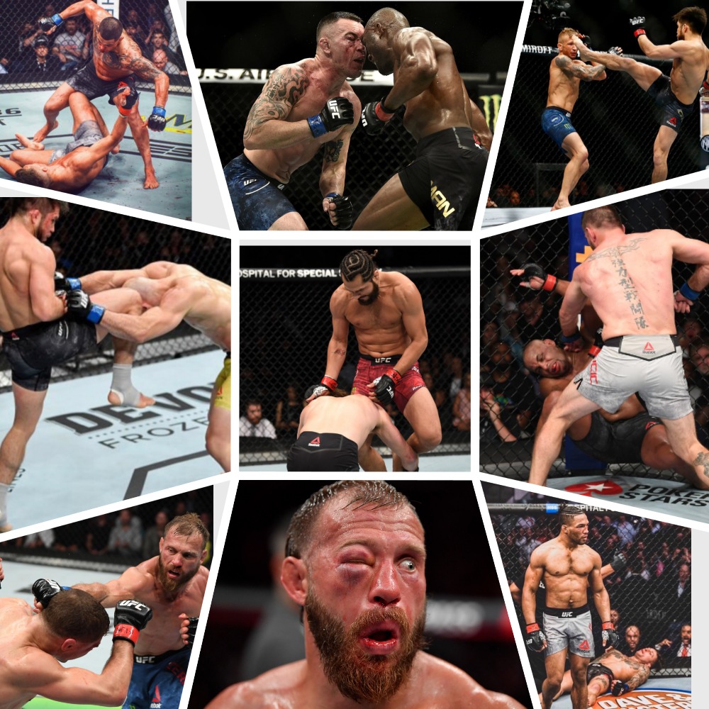 Топ 10 боёв 2019 года в UFC по версии Джо Баффера