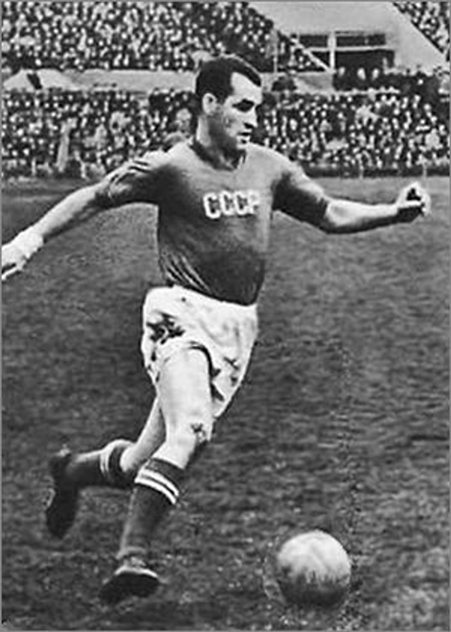 Сергей Сальников