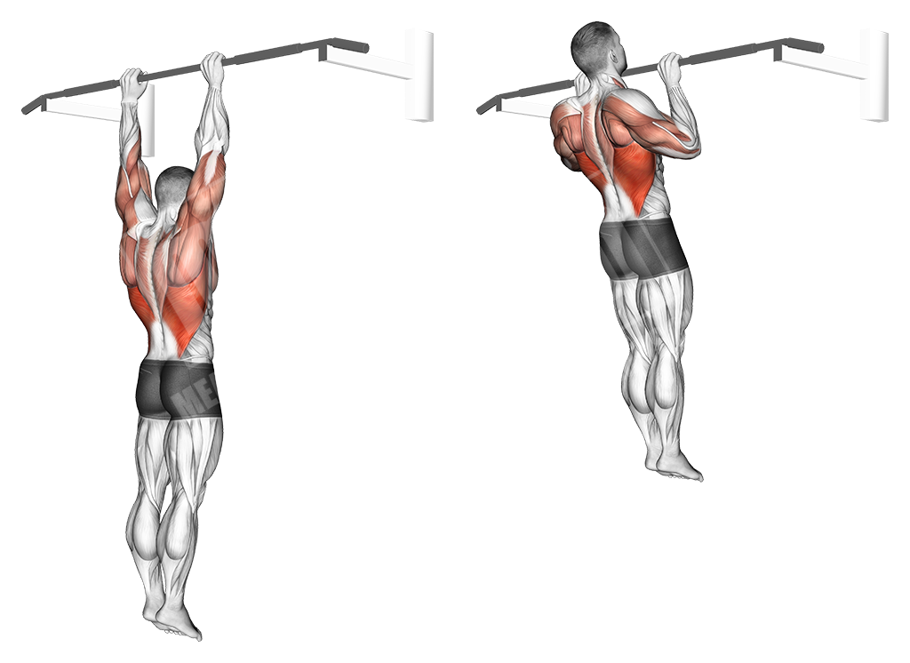 Виды подтягиваний – от стандартных до продвинутых
