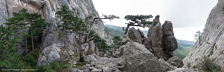 Крым, Судак, Хомбергер