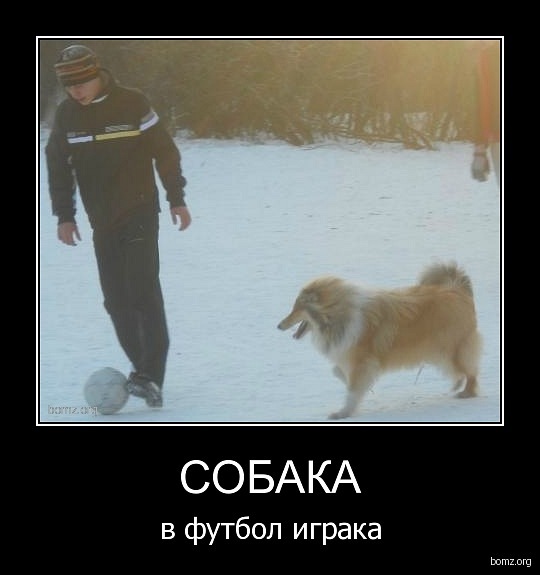 ололол