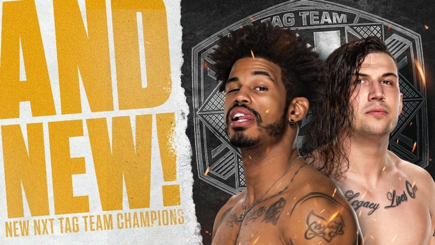 Обзор NXT TakeOver: Stand and Deliver (День 1), изображение №30