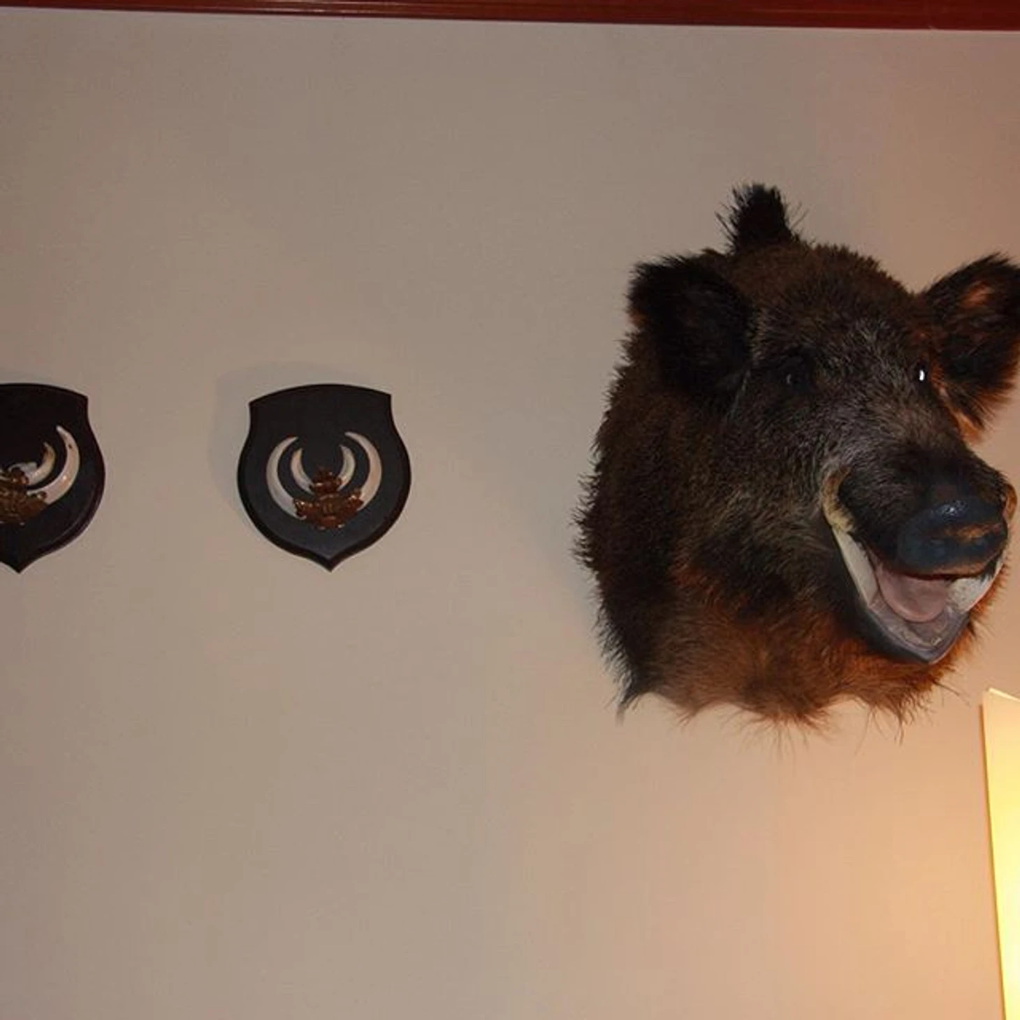 https://photobooth.cdn.sports.ru/preset/post/d/b8/705c798ad4d5bb4eefec61cdf32a0.png