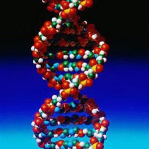 Ставки на спорт