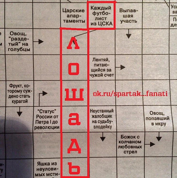 ok.ru/spartak...fanati