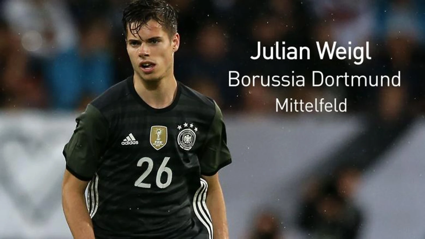 Юлиан Вайгль сборная