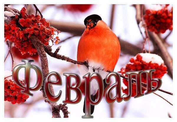 Ставки на спорт