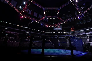 «Противоречивый и изменённый» UFC 249