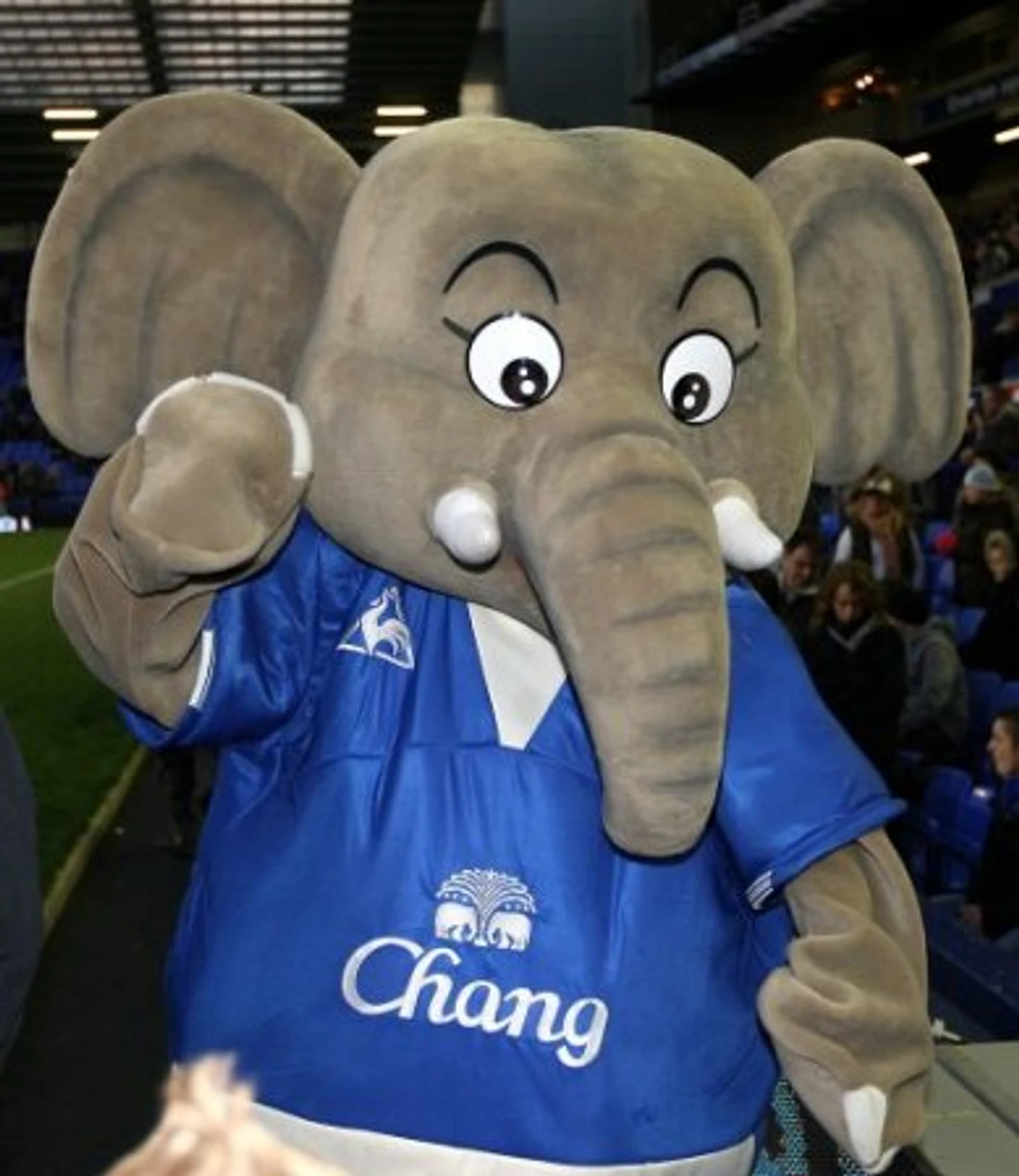 Маскот Эвертон