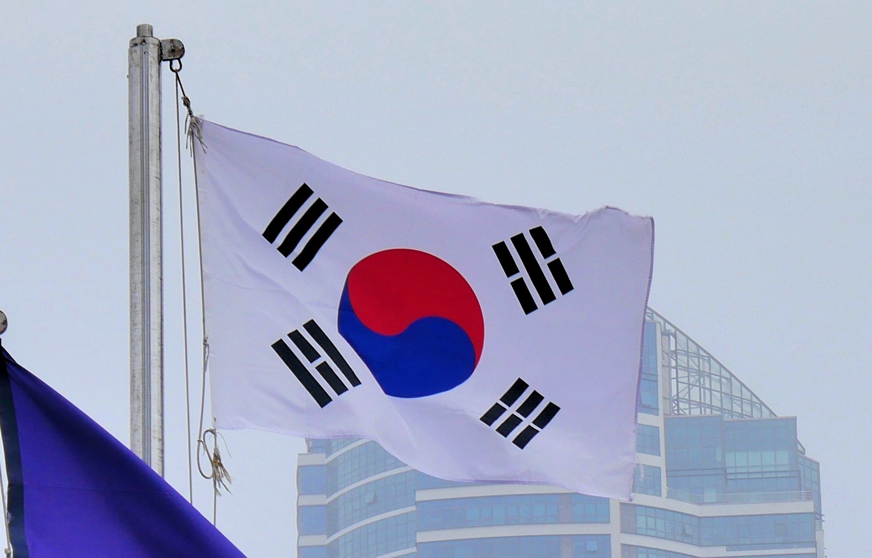 Корея санкции рф. Флаг Южная Корея. Жанубий Корея флаг. Республика Корея Южная Корея. Правительство Южной Кореи.