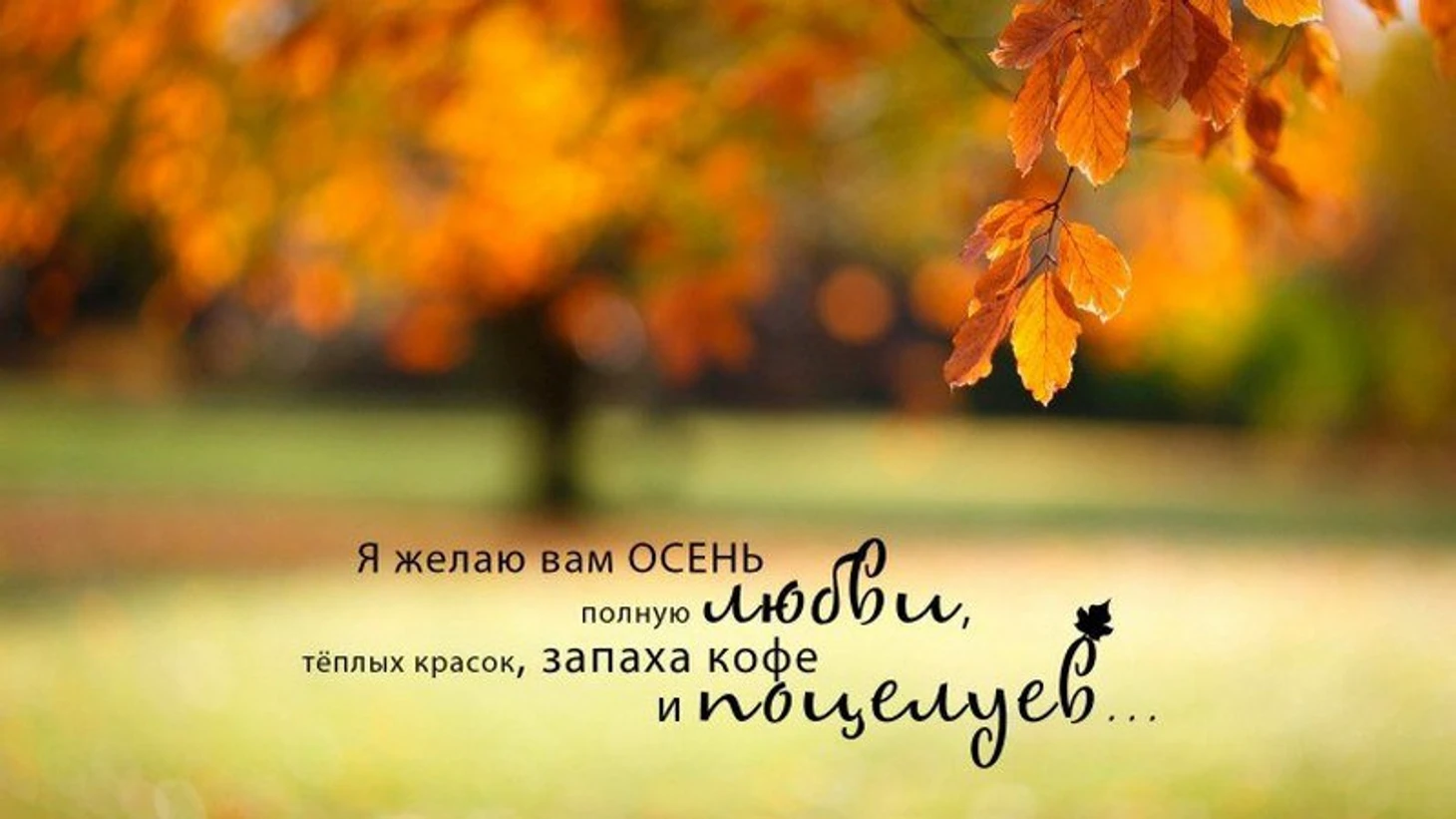 ф