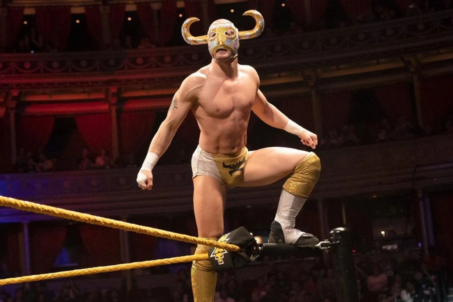 Айсберг NXT UK (Часть 1), изображение №21