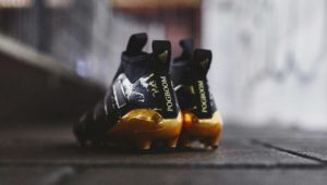 kickster_ru_adidas_ace17_pp_05