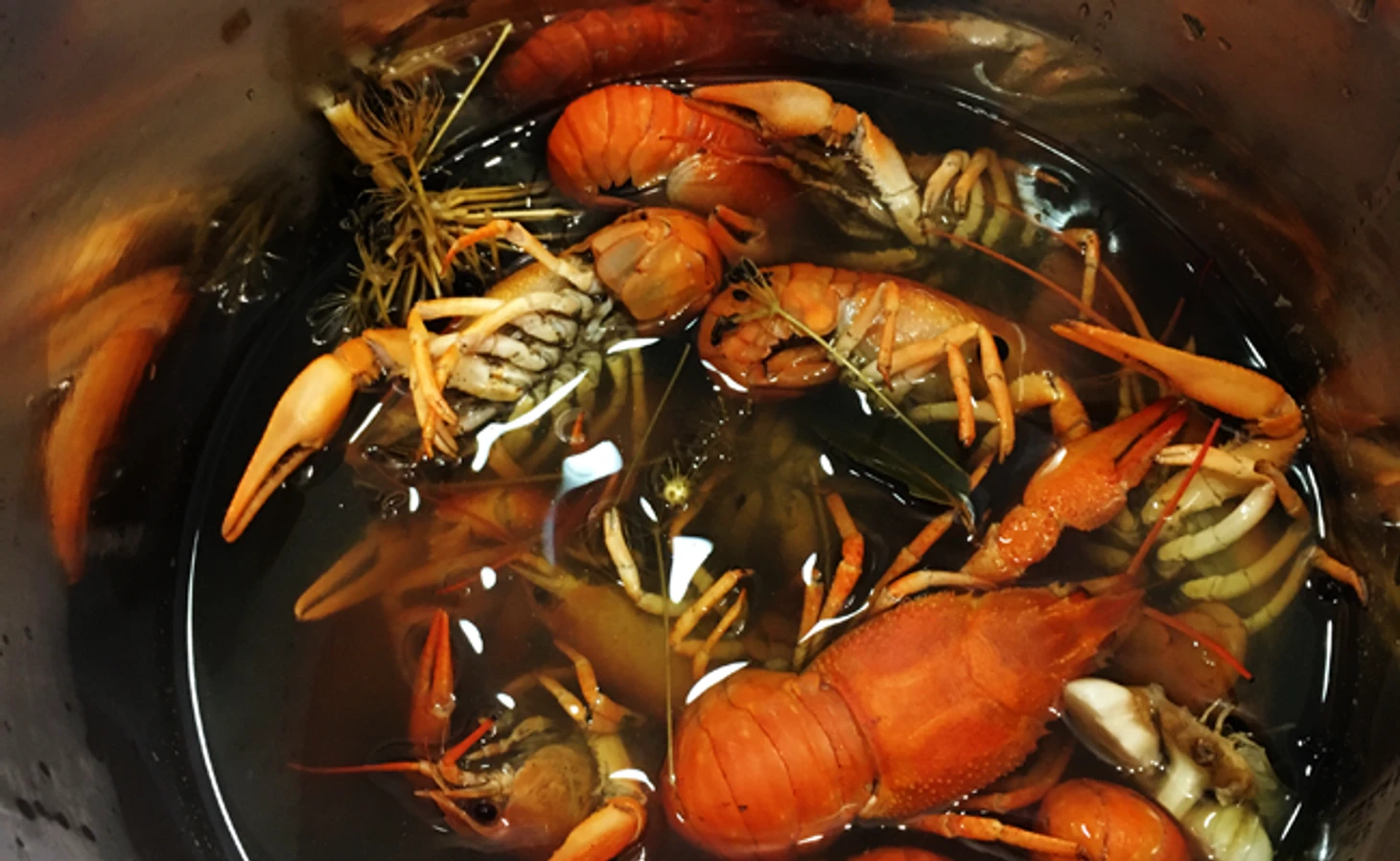 раки