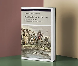 Автомобильное поло и детский бокс: рассказываем о странных и забытых видах спорта