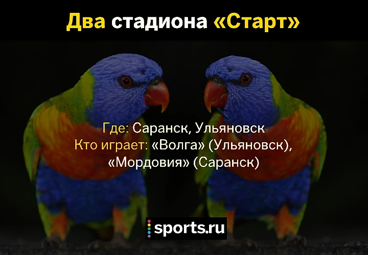 https://photobooth.cdn.sports.ru/preset/post/e/38/6a51368664092914475266d69c18d.png