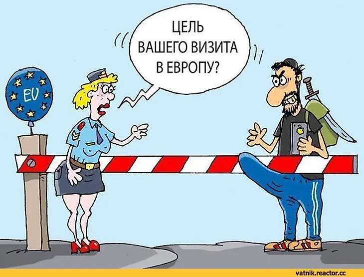 media
