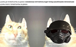 Новому Вегасу – новые мемы!!!