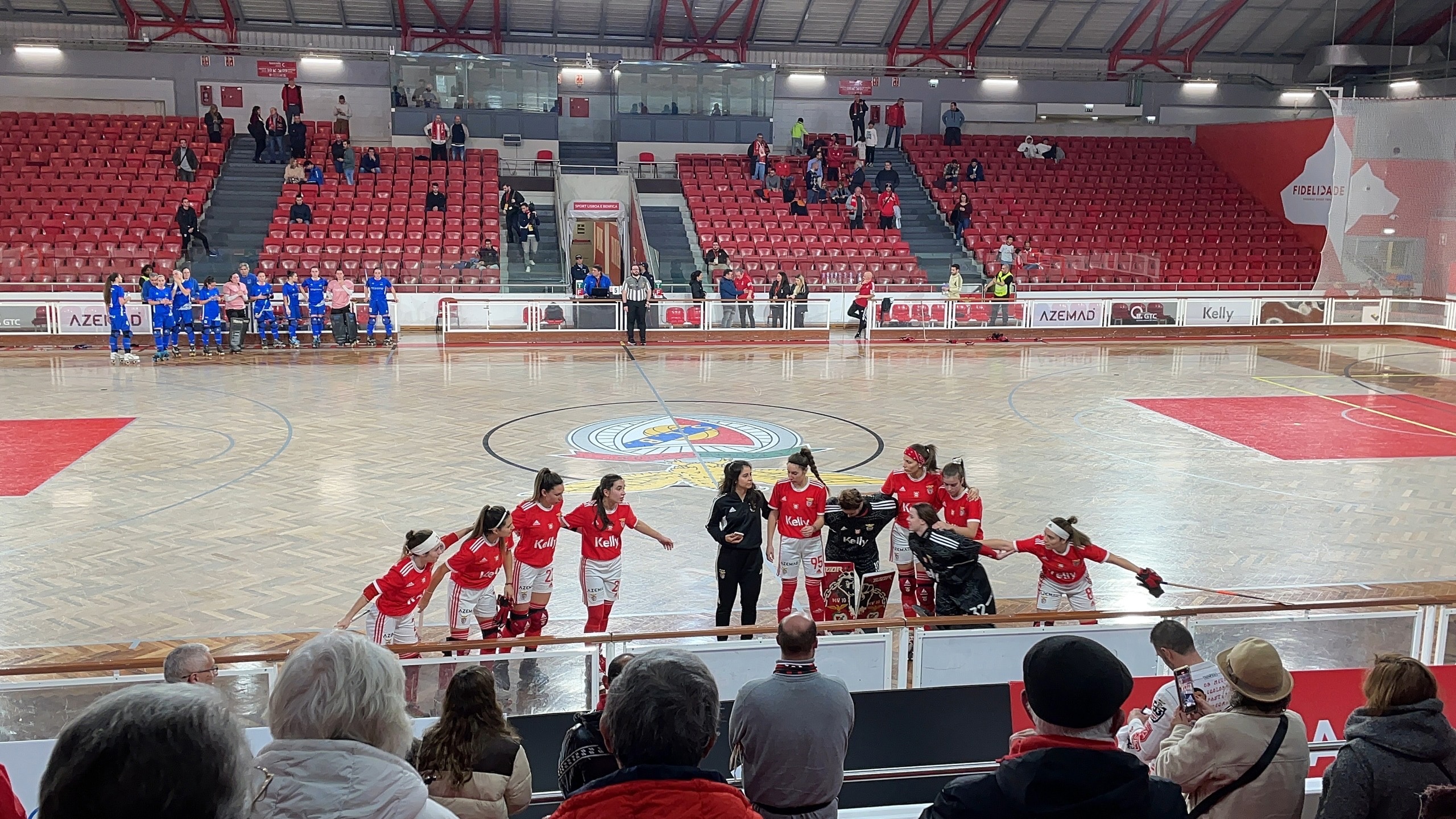 Роллеркей - необычная разновидность хоккея