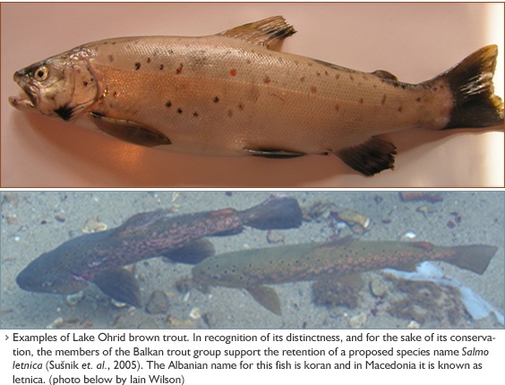 Ставки на спорт