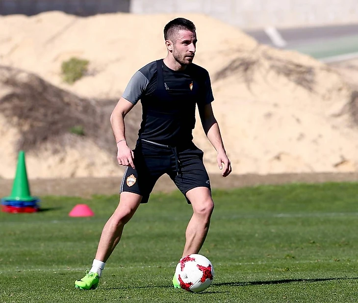 Зоран Тошич