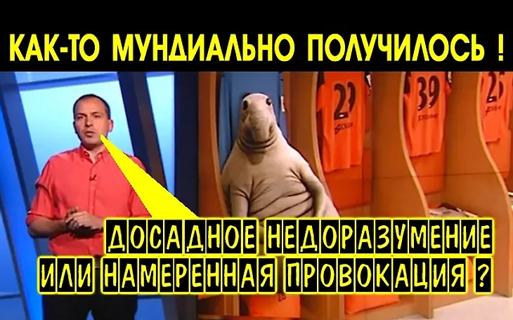 media
