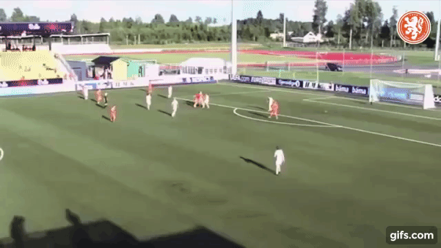 miedemascotlandu19